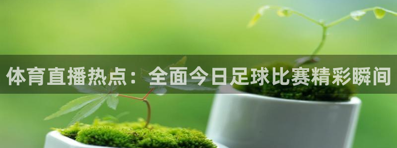 jrkan直播nba免费：体育直播热点：全面今日足球比赛精彩瞬间