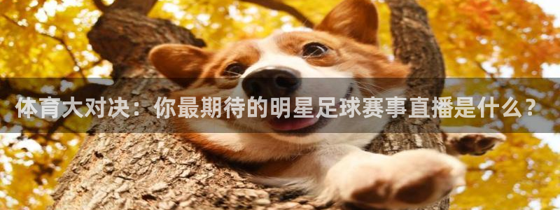 jrkan直播安卓版下载：体育大对决：你最期待的明星足球赛事直播是什么？