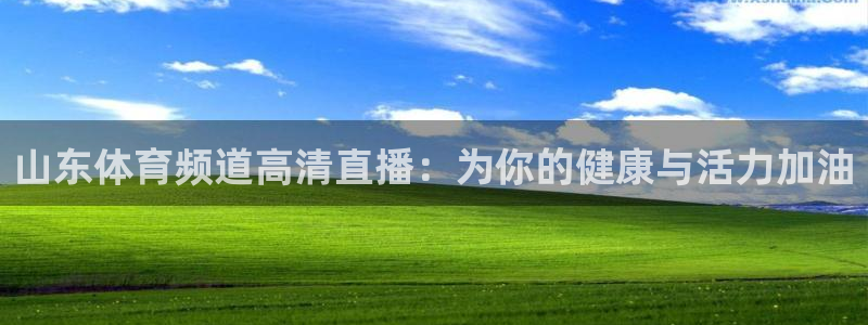 jrkan直播体育app：山东体育频道高清直播：为你的健康与活力加油