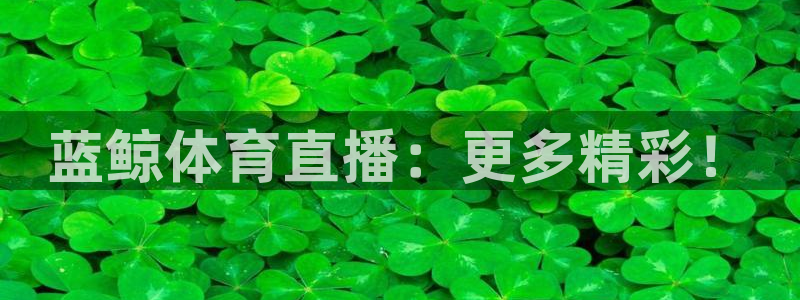 m.jrkan直播：蓝鲸体育直播：更多精彩！
