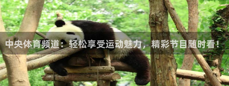 jrkan直播nba在线观看：中央体育频道：轻松享受运动魅力，精彩节目随时看！