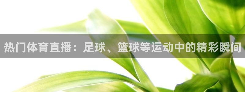 jrkan直播体育网：热门体育直播：足球、篮球等运动中的精彩瞬间