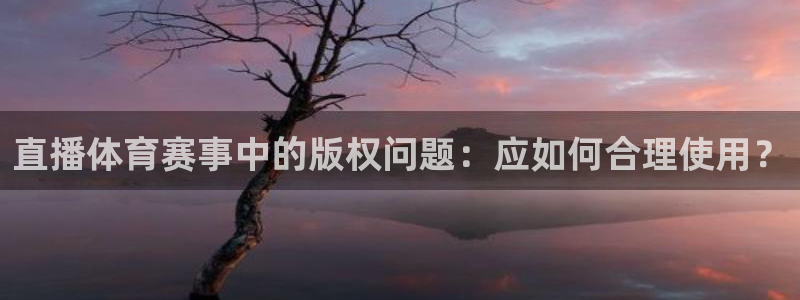 jrkan直播app下载：直播体育赛事中的版权问题：应如何合理使用？